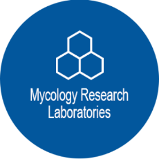 Zobraziť produkty vyrobené MRL Obrázok pre výrobcu MRL