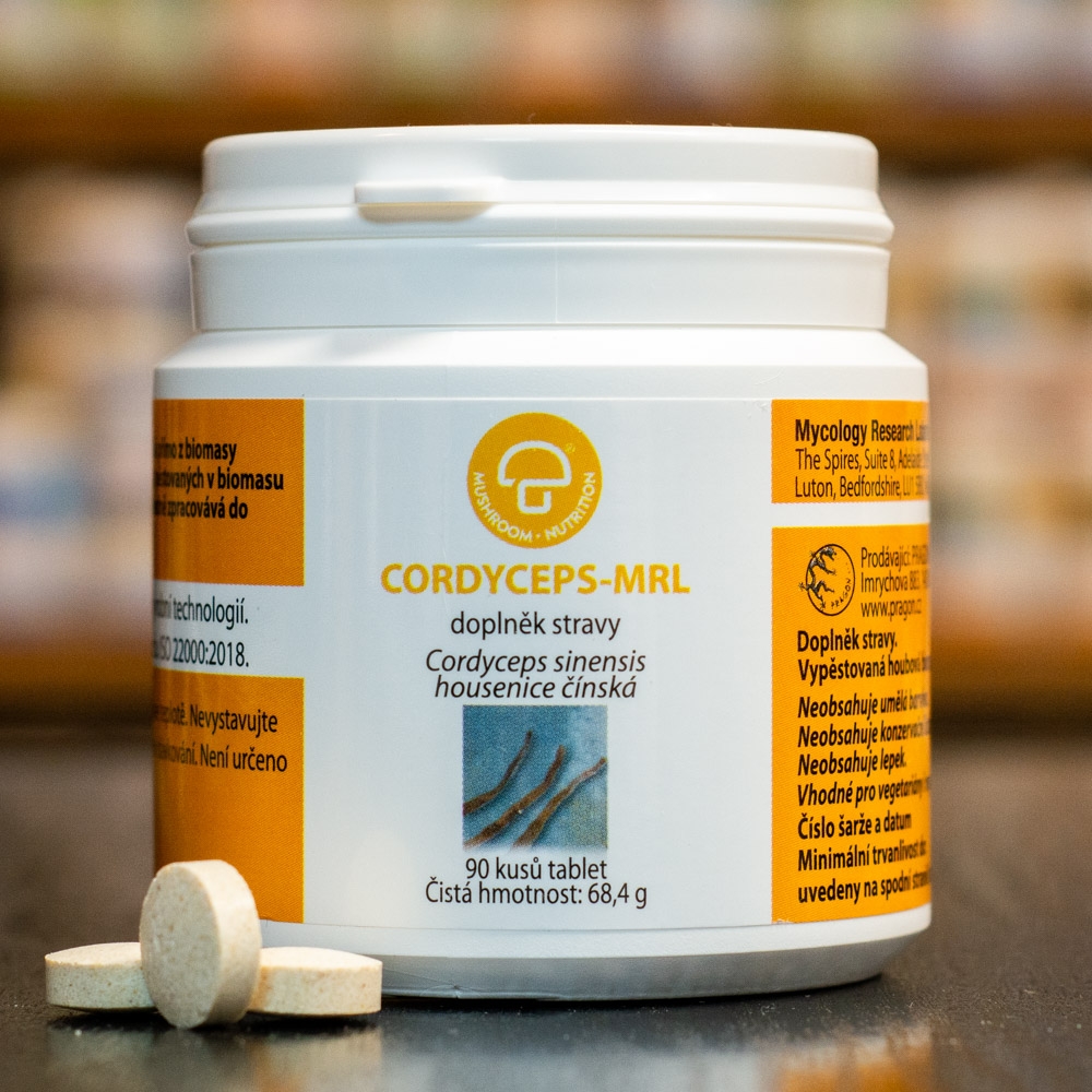Cordyceps – MRL mycélium
