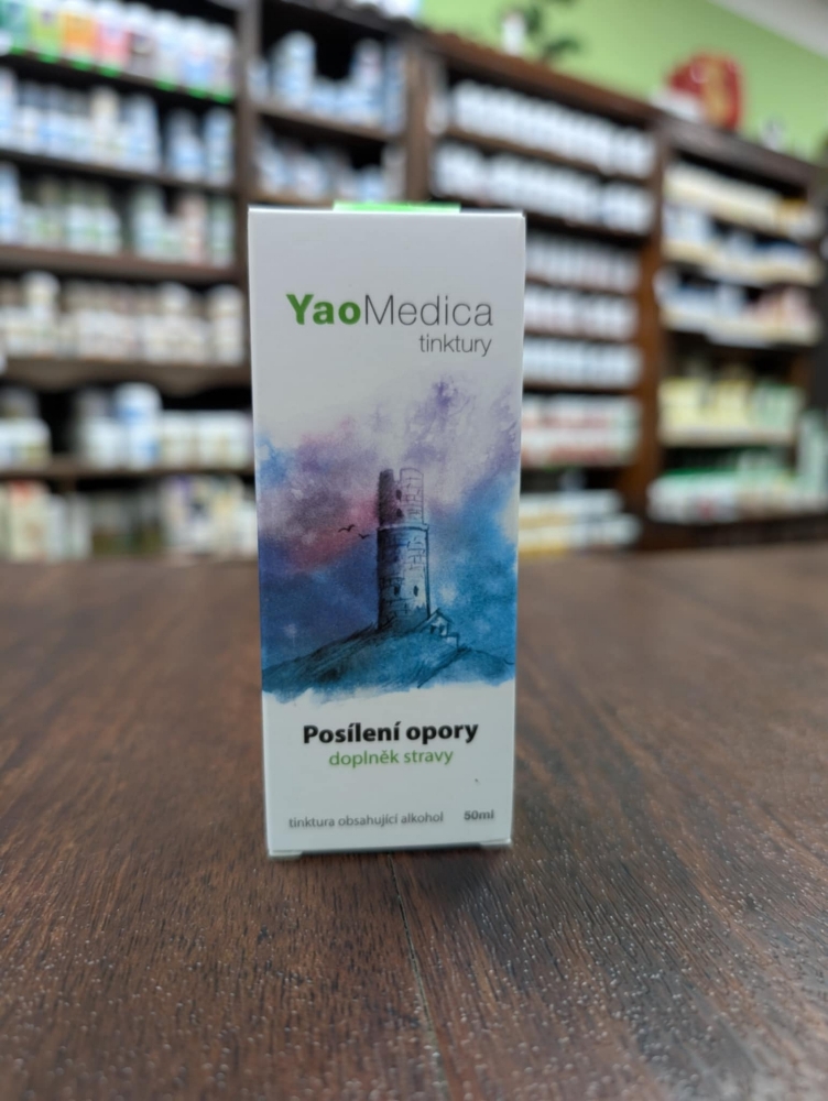 Obrázok z 009 - Posílení opory