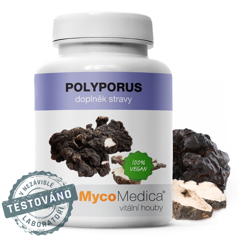 Obrázok z Polyporus